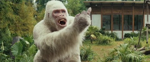 Shot 218