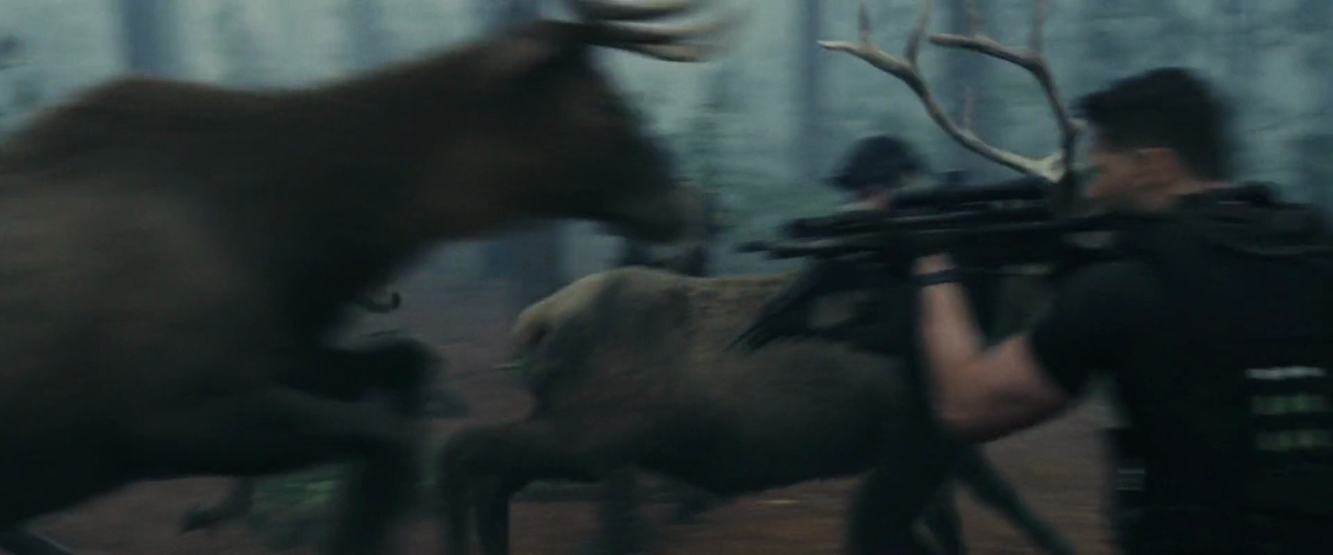 Shot 624