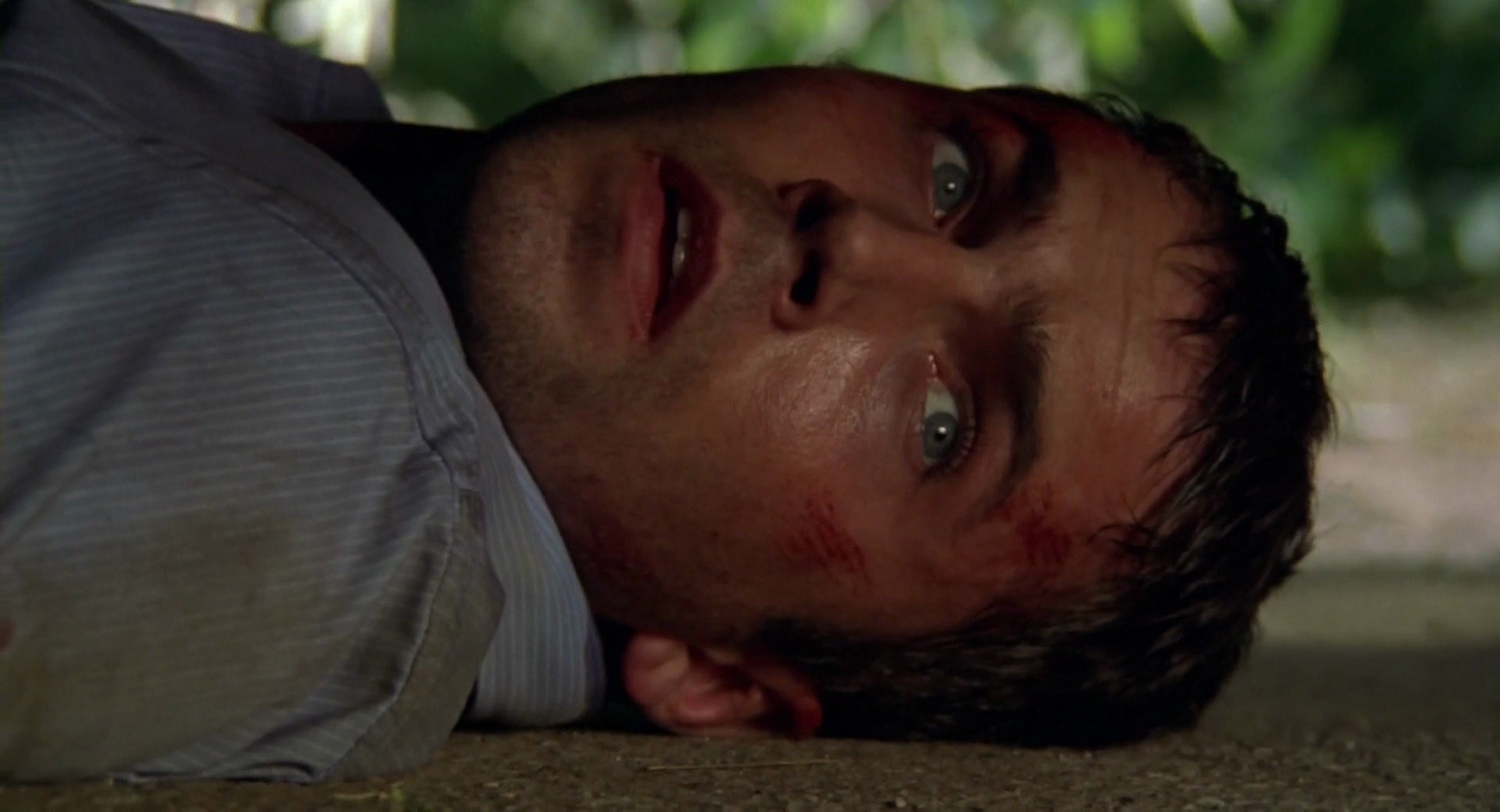 Shot 1405