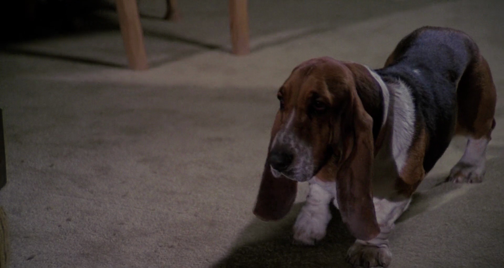 Shot 298