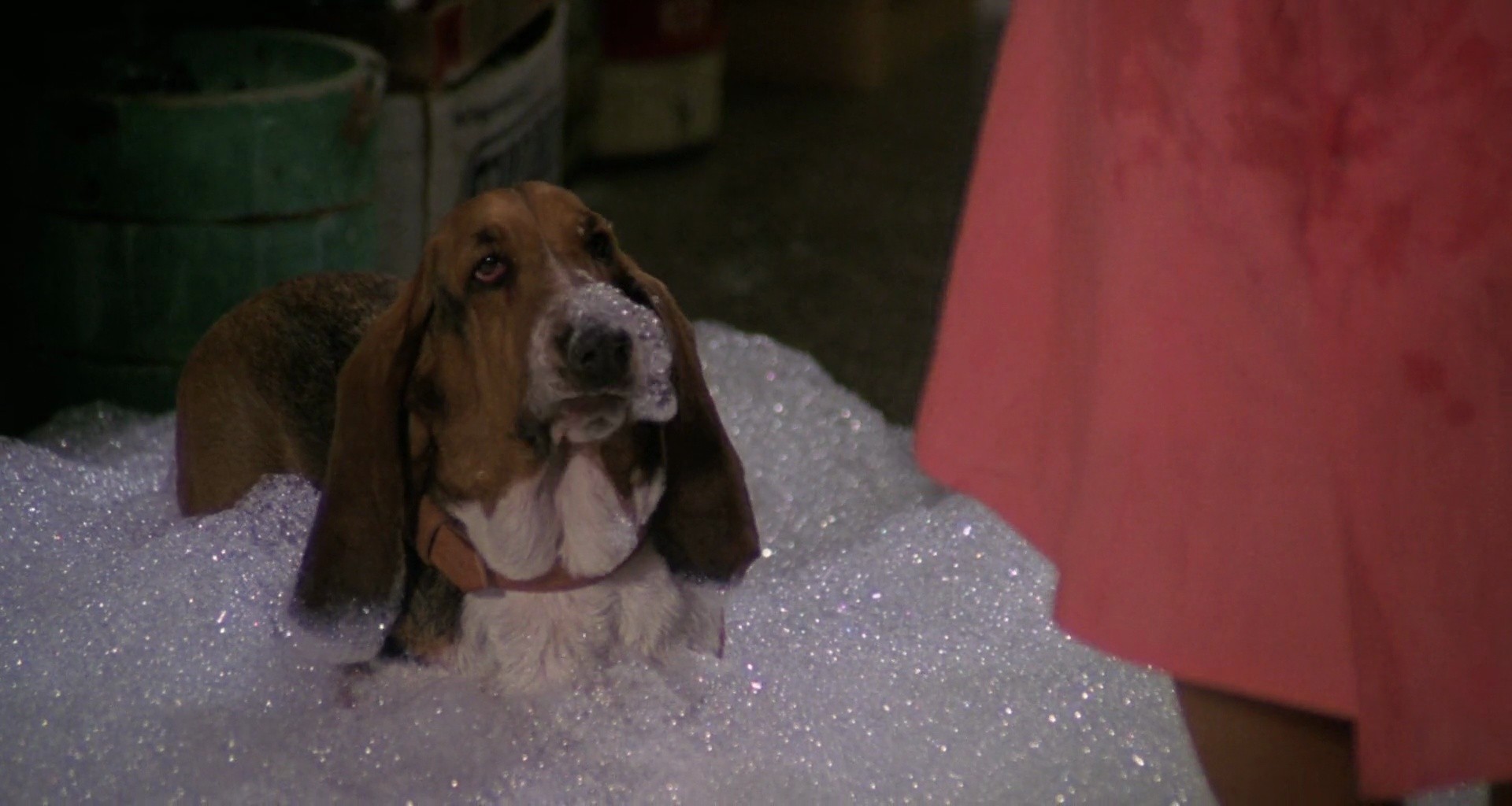 Shot 326