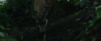 Shot 17