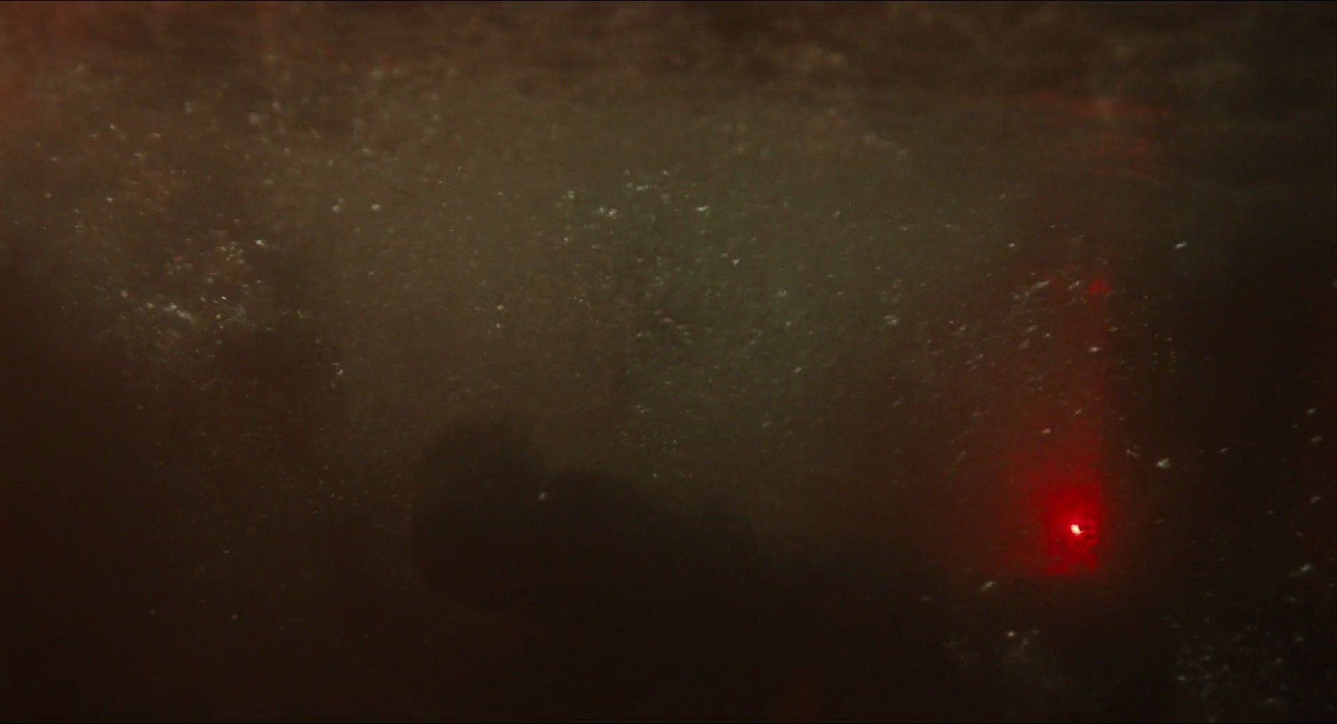 Shot 2685