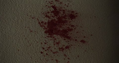 Shot 7