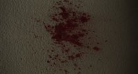 Shot 7