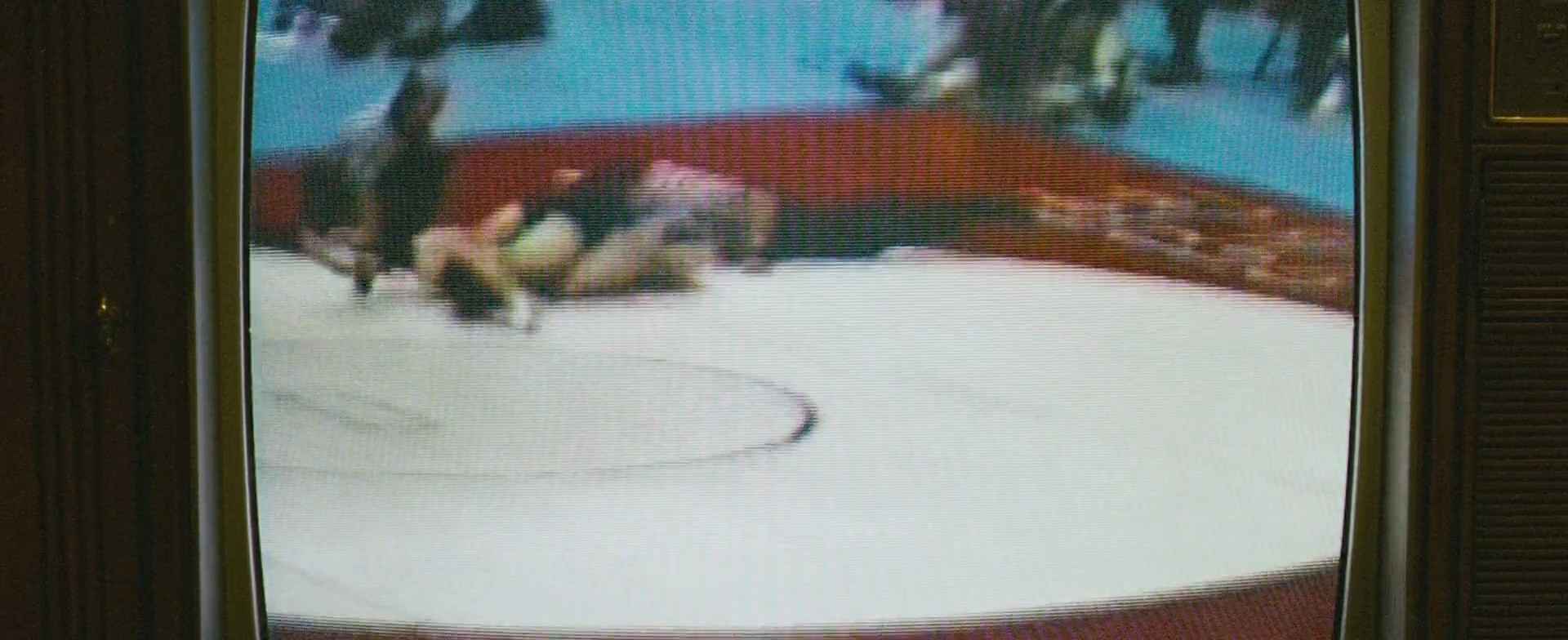 Shot 336
