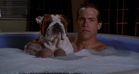 Shot 456