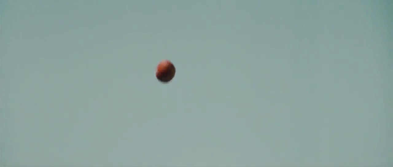 Shot 2024