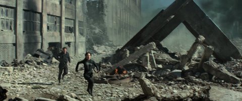 Shot 439