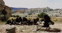 Shot 29
