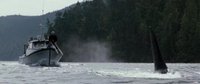 Shot 38