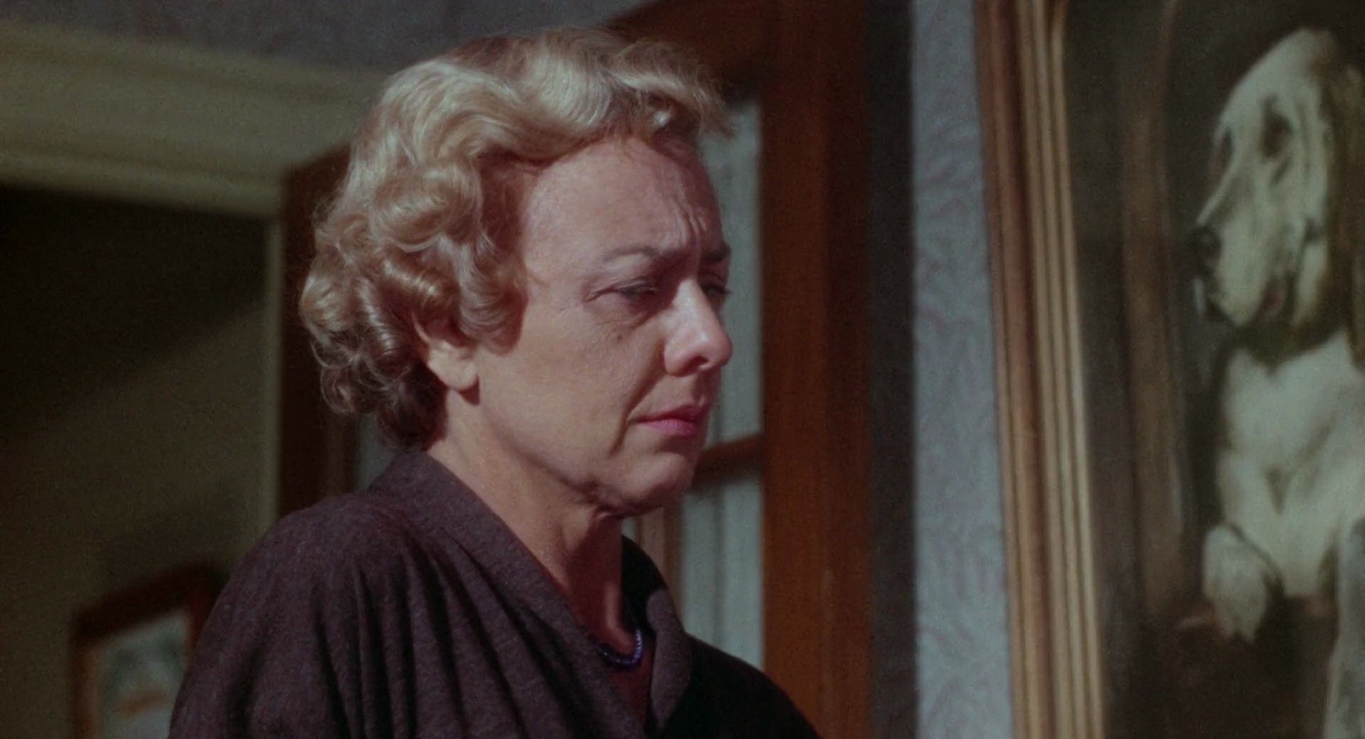 Shot 1385
