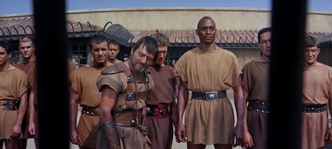 Shot 233