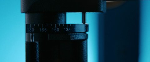 Shot 565