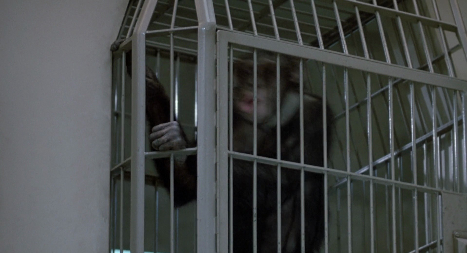 Shot 753