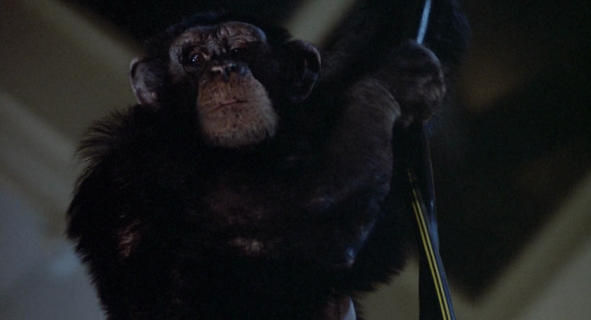 Shot 1060