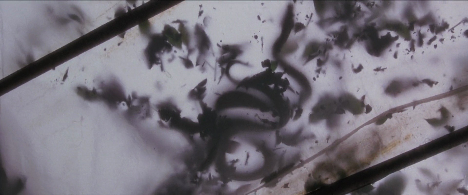 Shot 457