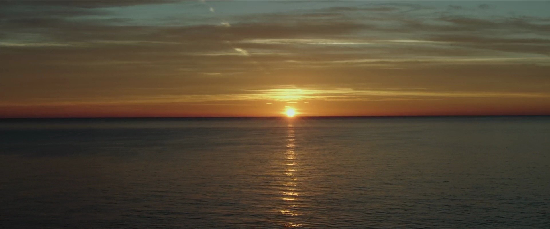 Shot 1481