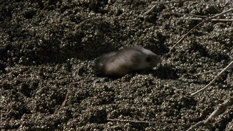Shot 503