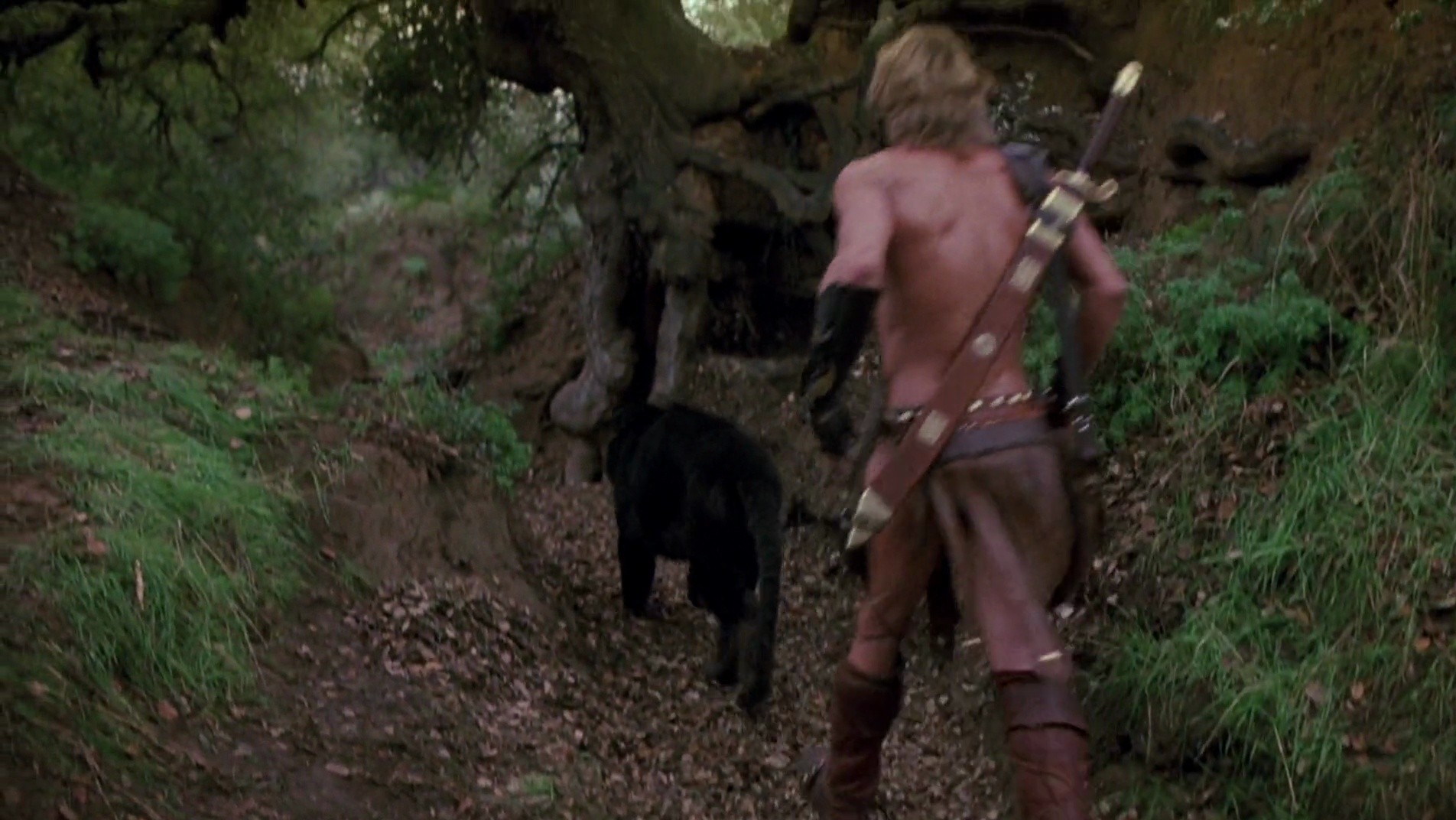 Shot 983