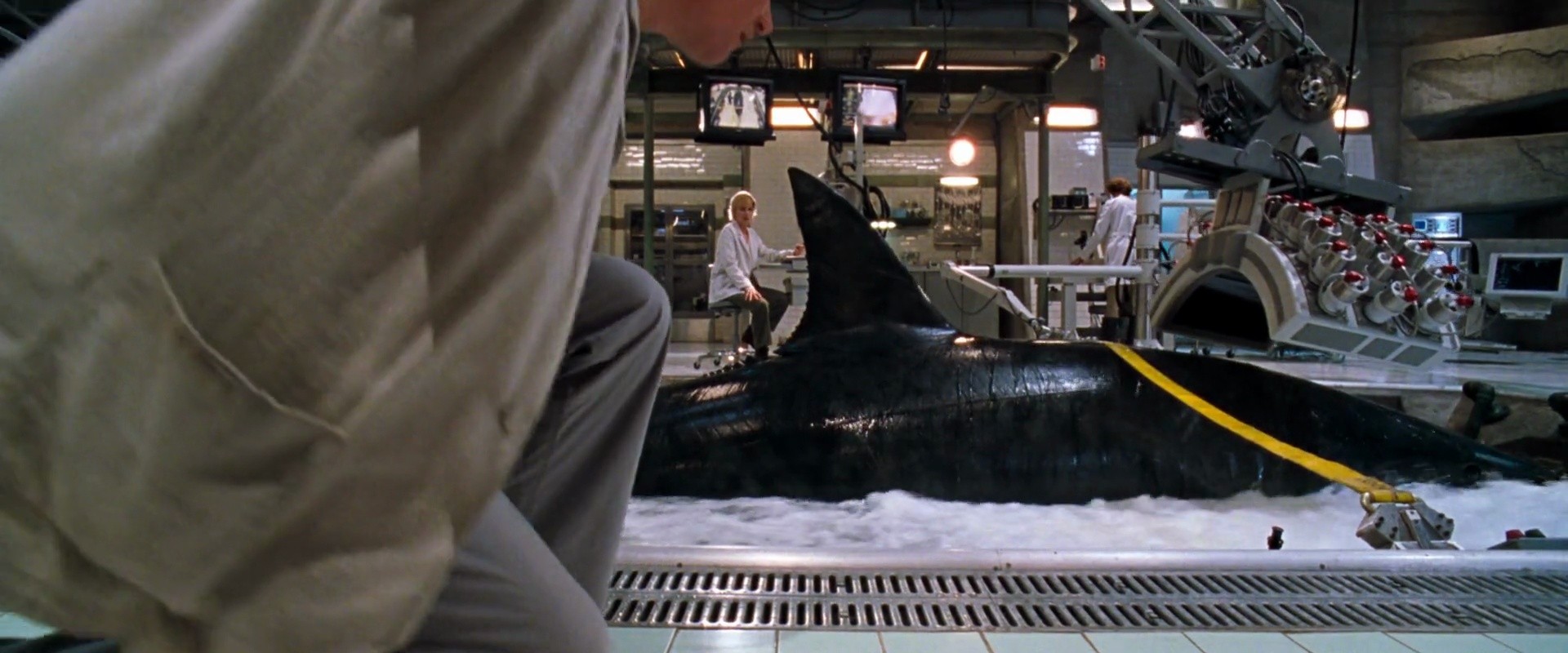 Shot 531