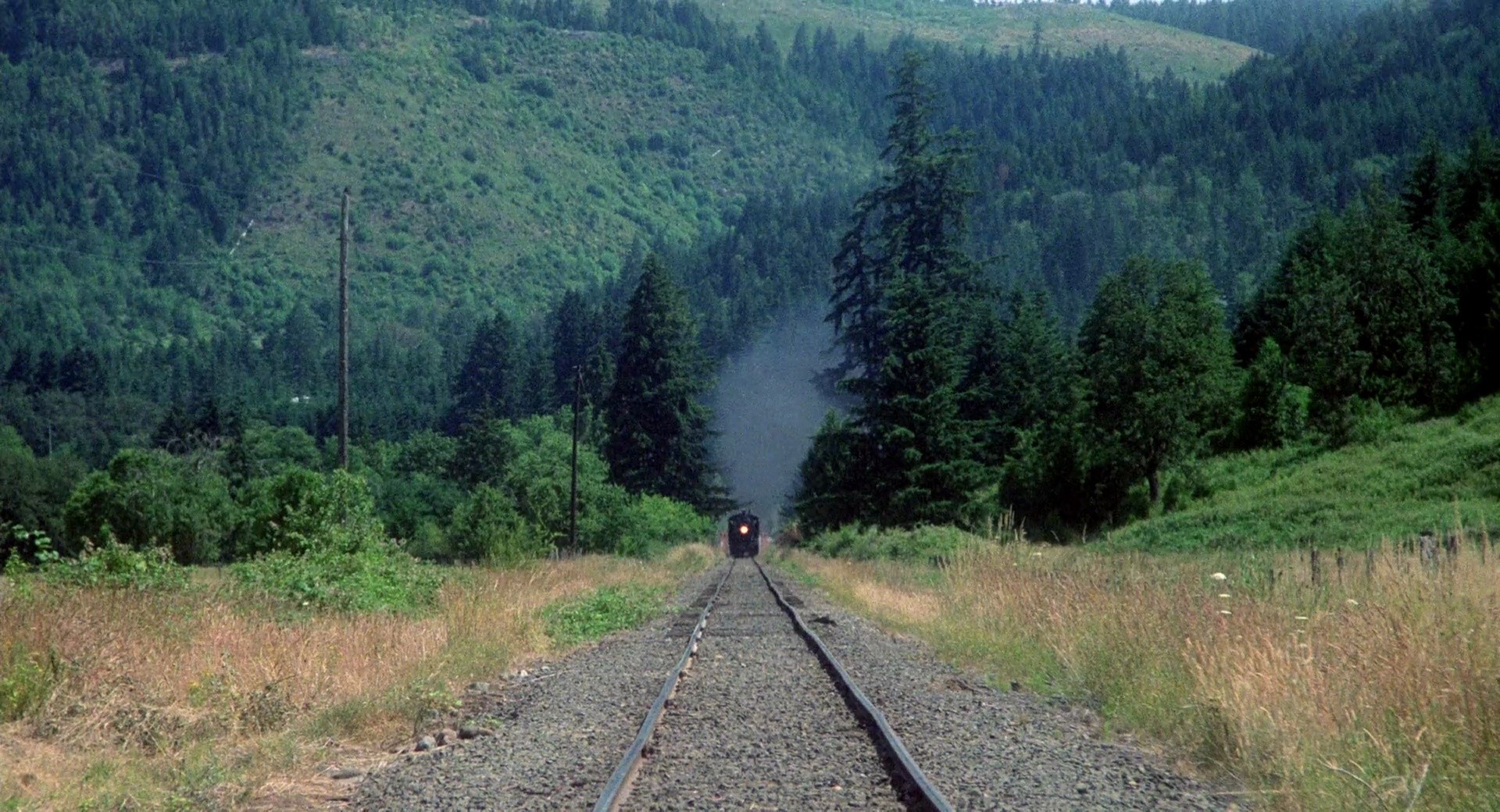 Shot 198