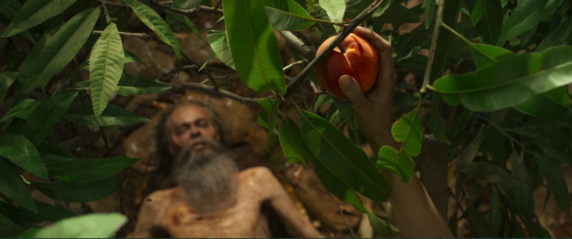 Shot 1362