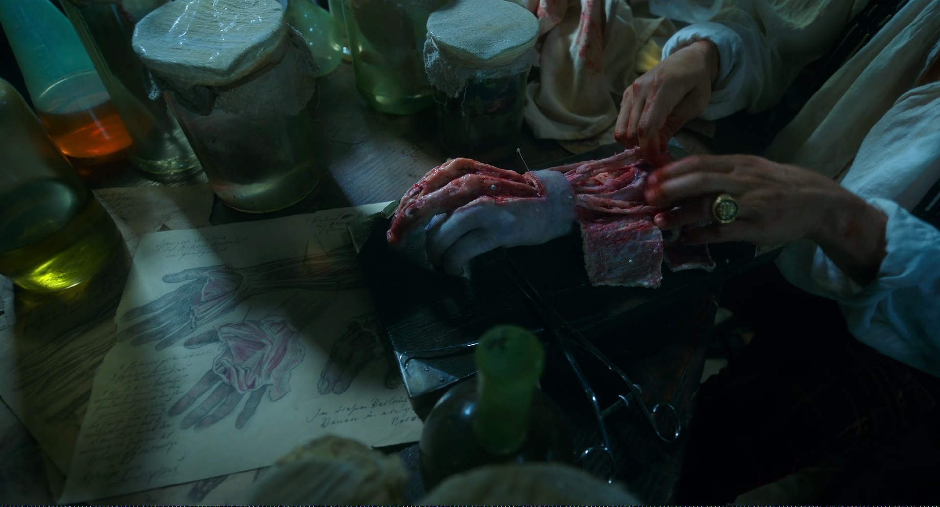 Shot 528