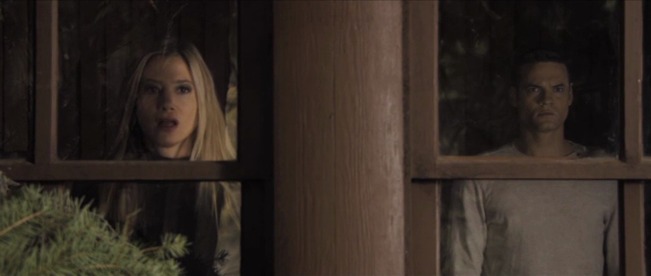 Shot 533