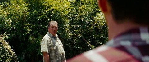 Shot 253