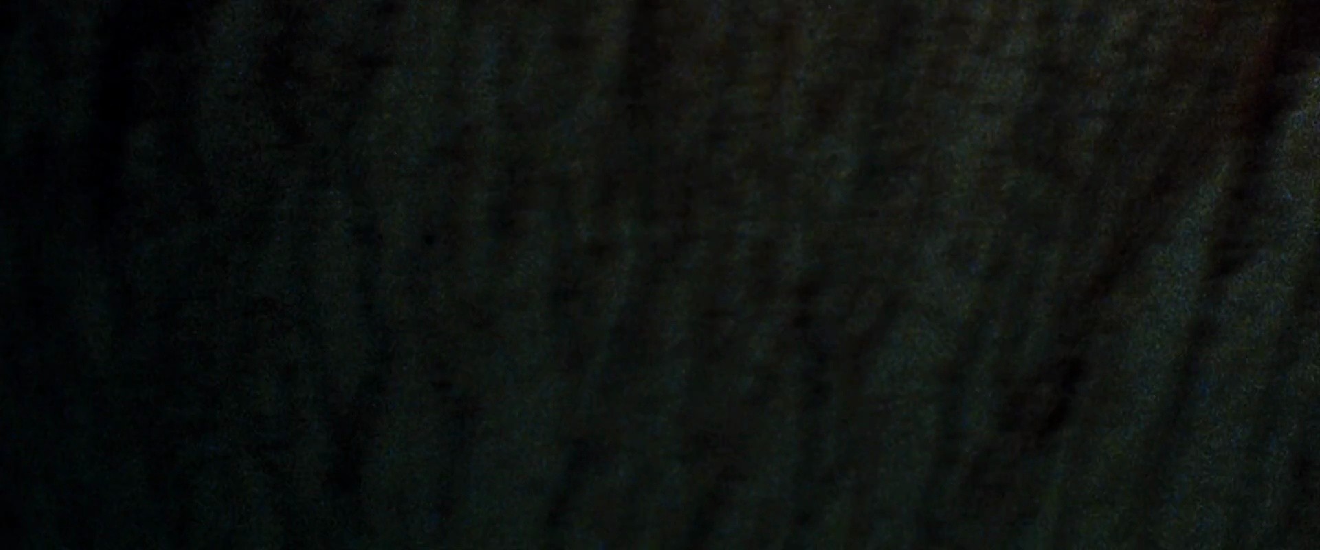 Shot 1315
