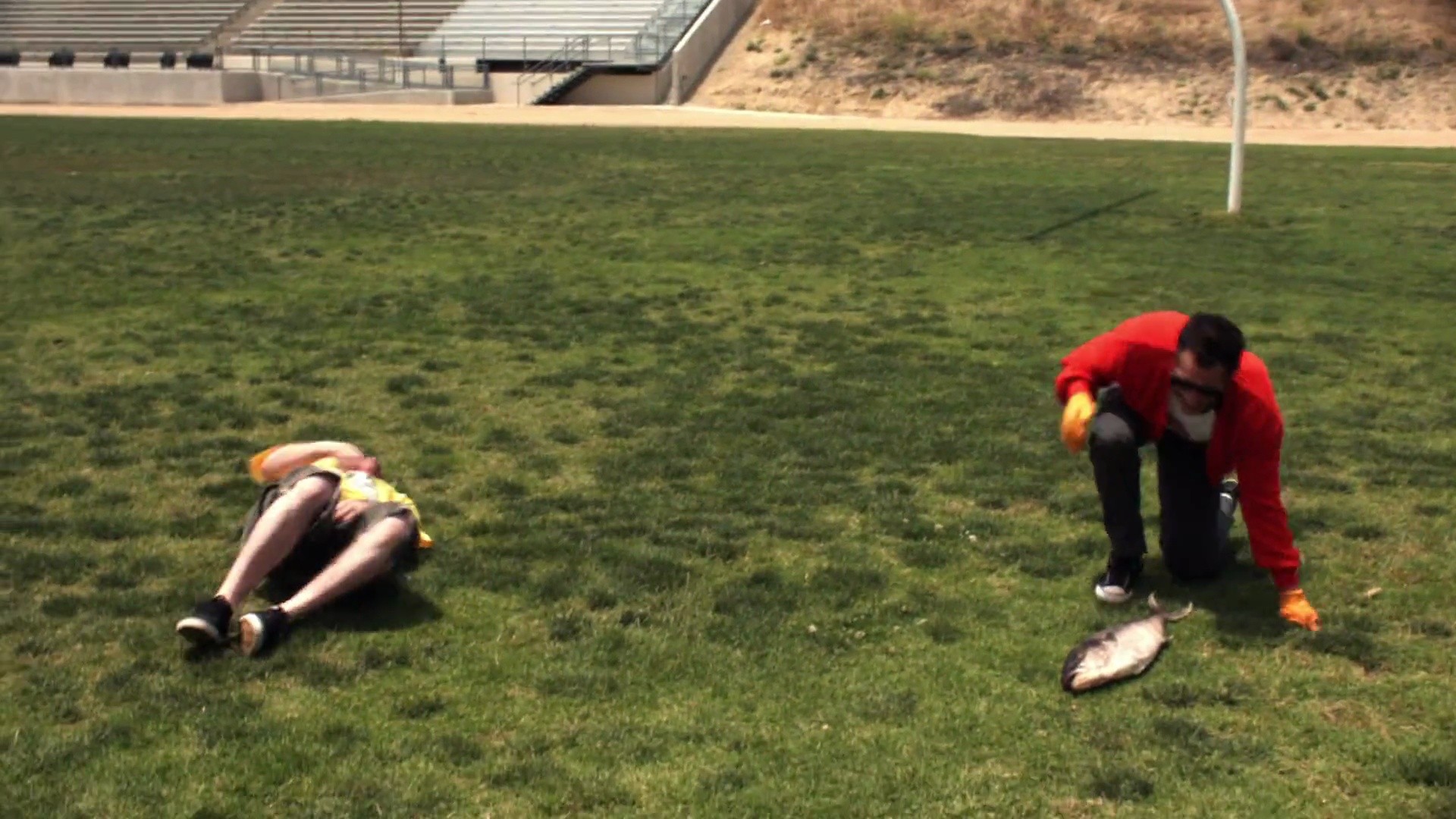 Shot 378