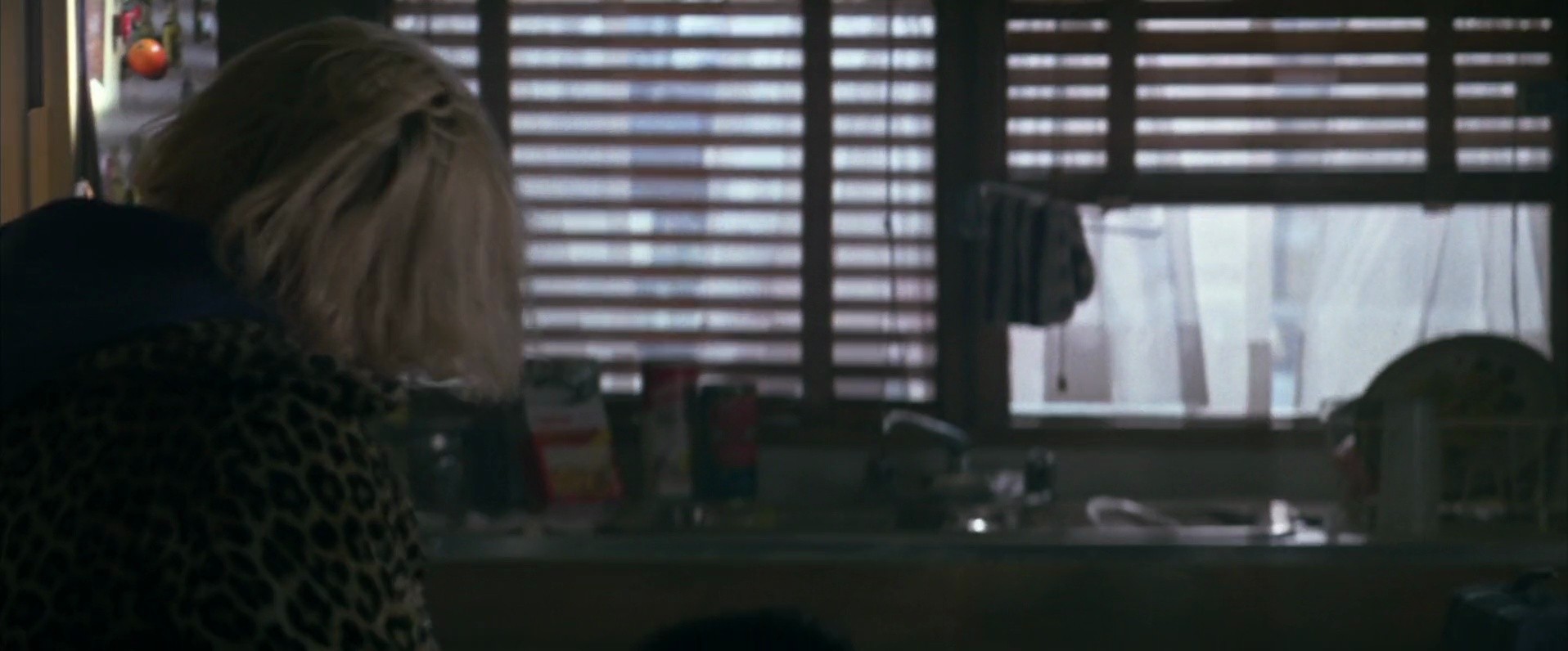 Shot 527