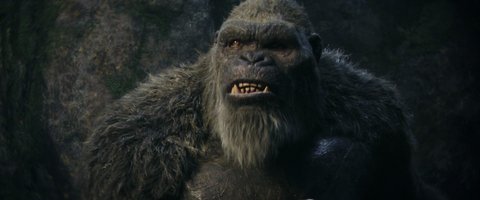 Shot 1353