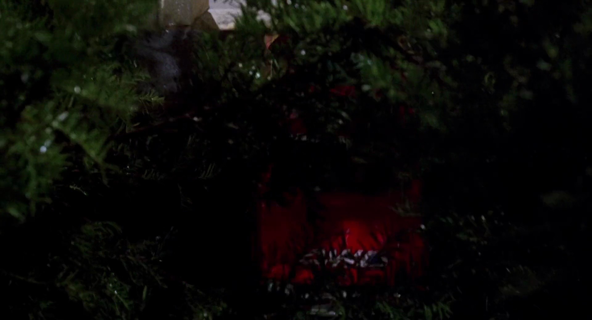 Shot 499