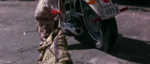 Shot 2049