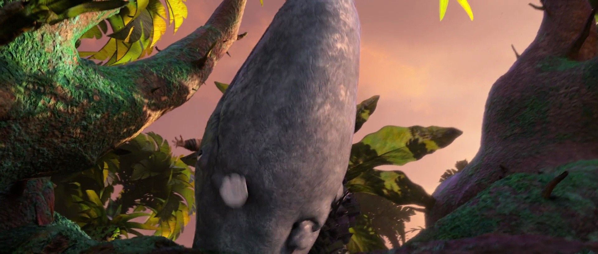 Shot 1447