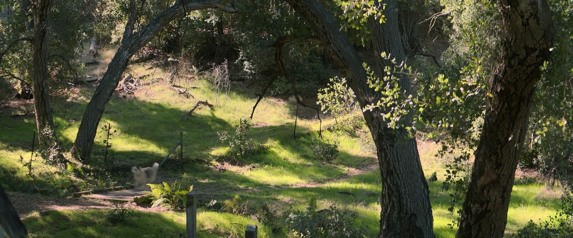 Shot 2878