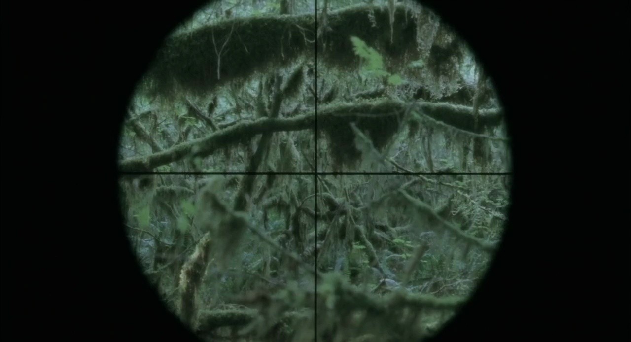 Shot 178