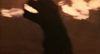 Shot 31
