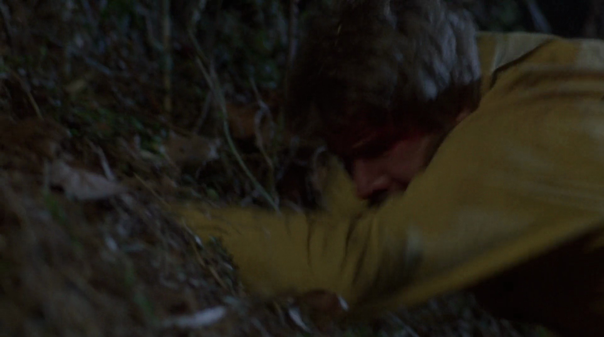 Shot 346