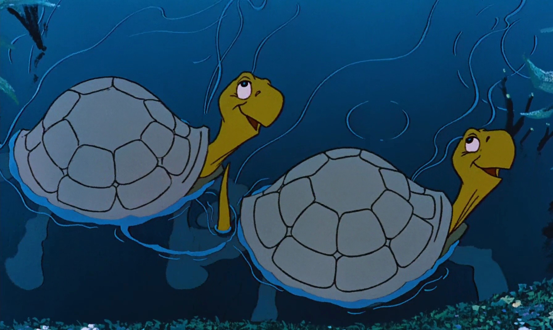 Shot 489