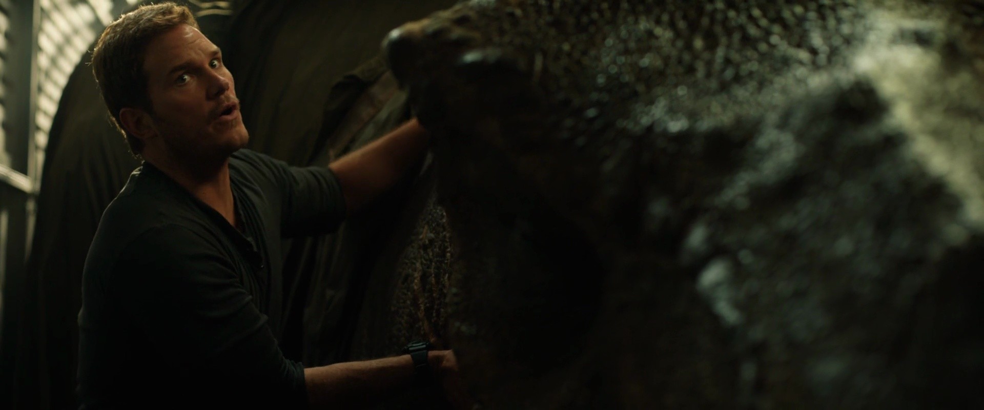 Shot 914