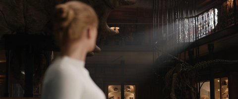 Shot 185