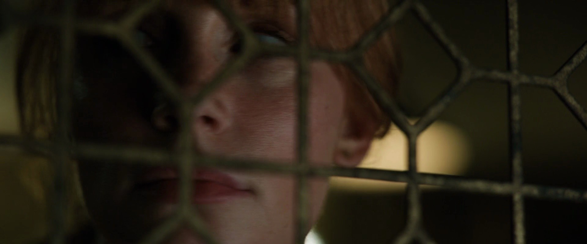 Shot 1376