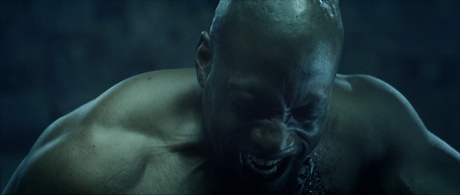 Shot 525