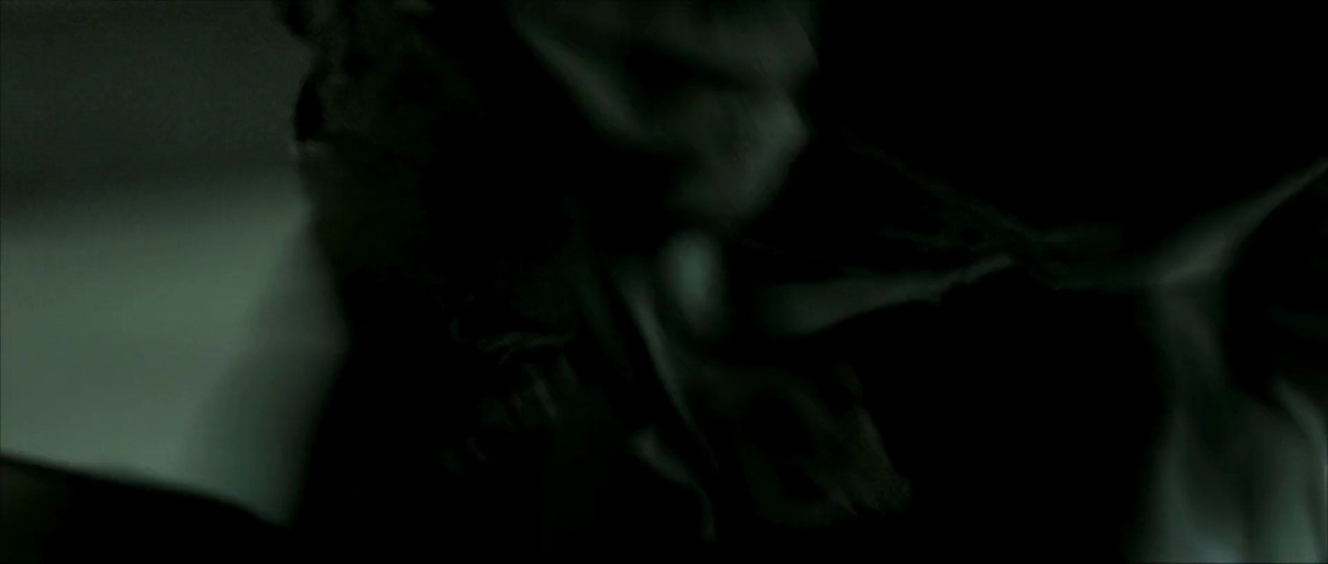 Shot 2011