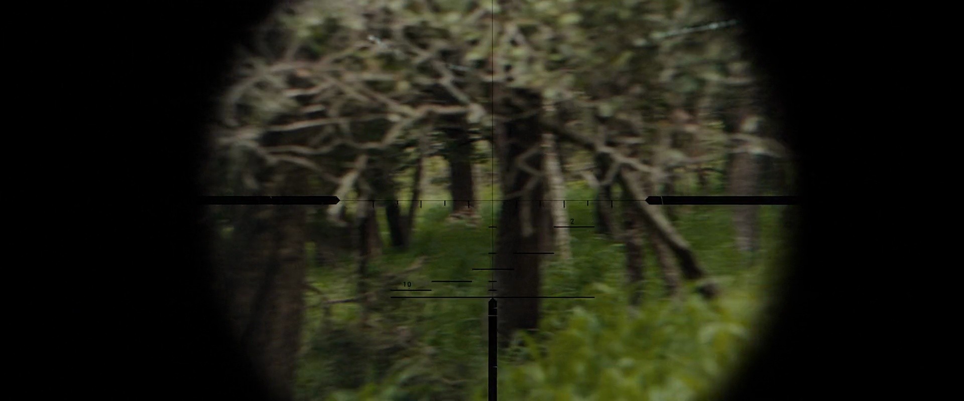 Shot 775