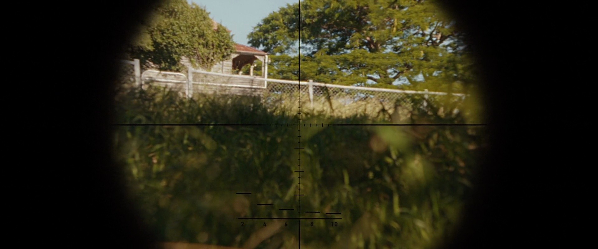 Shot 530