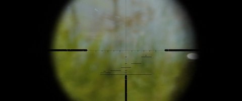 Shot 900
